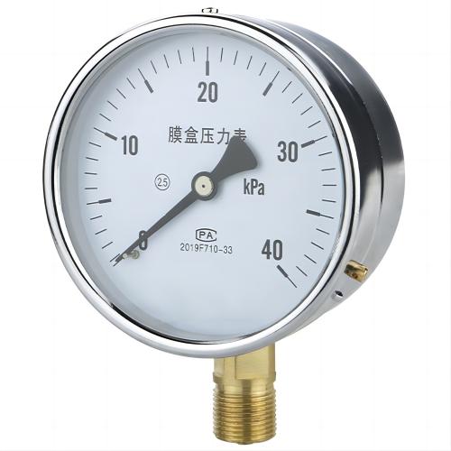 Pointer/digital pressure gauge